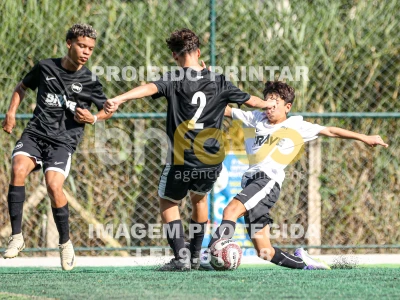 Detalhes da foto #90333