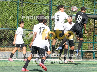 Detalhes da foto #43093