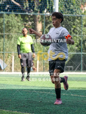 Detalhes da foto #56239