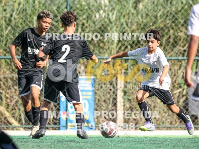 Detalhes da foto #63573