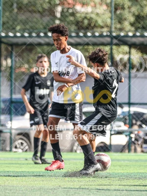 Detalhes da foto #749361