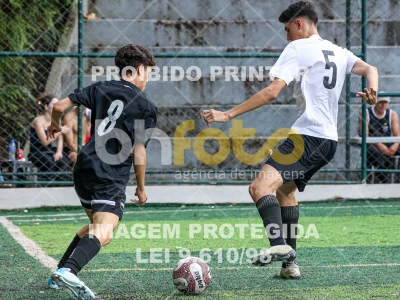 Detalhes da foto #74196