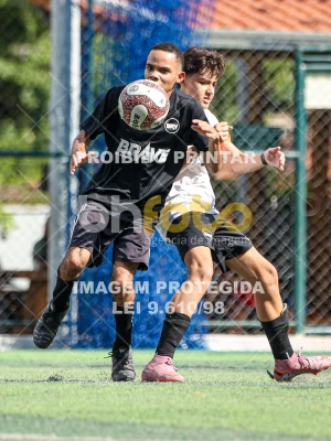 Detalhes da foto #52437