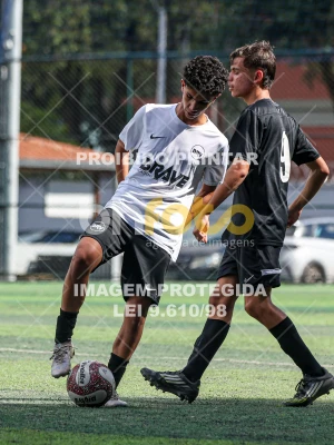 Detalhes da foto #28142