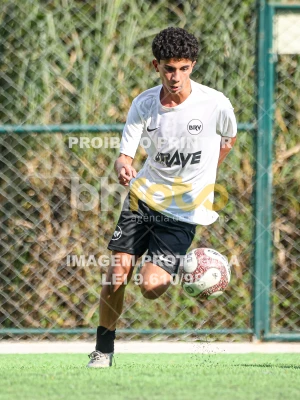 Detalhes da foto #28674