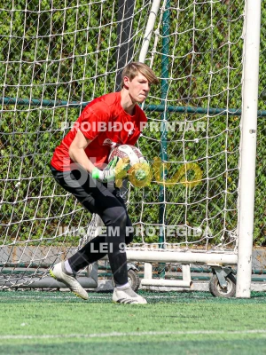 Detalhes da foto #13531