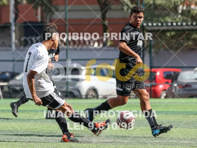 Detalhes da foto #50599