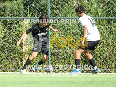 Detalhes da foto #77837