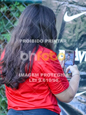 Detalhes da foto #2390364