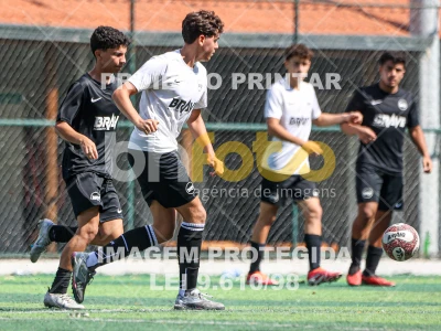 Detalhes da foto #2439094