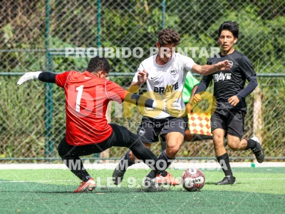 Detalhes da foto #2864384