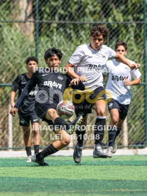 Detalhes da foto #6578326