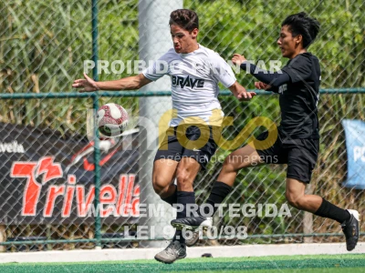 Detalhes da foto #9188006