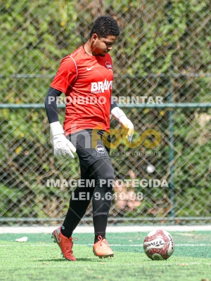 Detalhes da foto #4542140