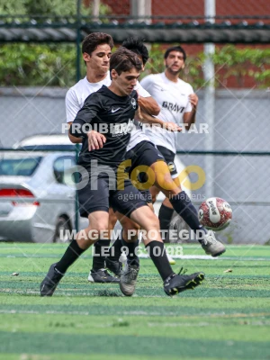 Detalhes da foto #9082262