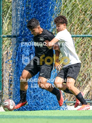 Detalhes da foto #5899891