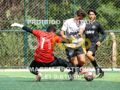 Detalhes da foto #6251753