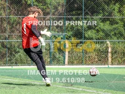 Detalhes da foto #1878251