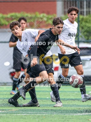 Detalhes da foto #2312104