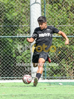 Detalhes da foto #3104157