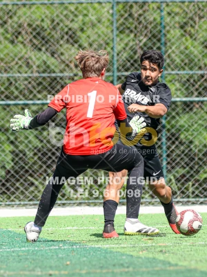 Detalhes da foto #6552380