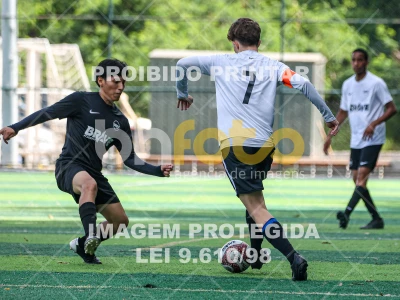 Detalhes da foto #3634745