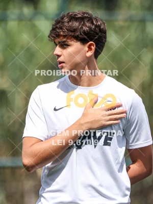 Detalhes da foto #4684536