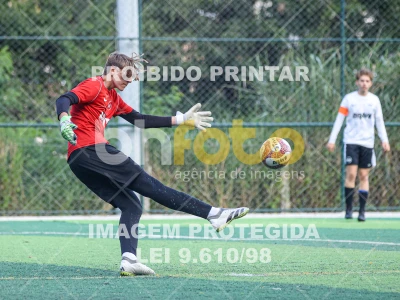 Detalhes da foto #4620494