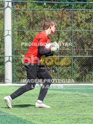 Detalhes da foto #5074069