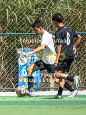 Detalhes da foto #1628400