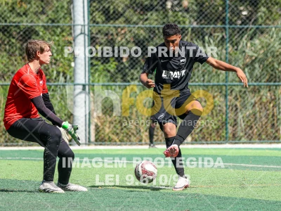 Detalhes da foto #7699306