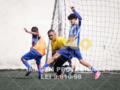 Detalhes da foto #9952034