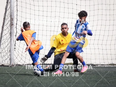 Detalhes da foto #4860490