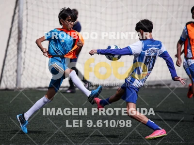 Detalhes da foto #4708092