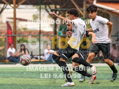 Detalhes da foto #8684448