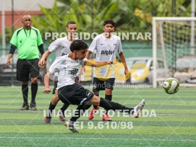 Detalhes da foto #4642517