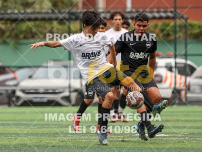 Detalhes da foto #2611712