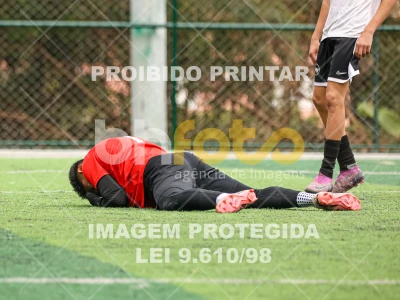 Detalhes da foto #4244982