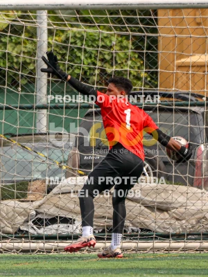 Detalhes da foto #5643712