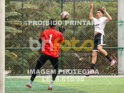 Detalhes da foto #4286016
