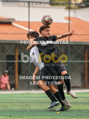 Detalhes da foto #2300036