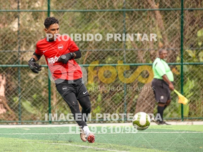 Detalhes da foto #6530644