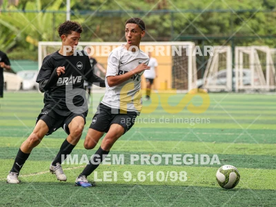 Detalhes da foto #8379696