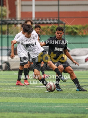 Detalhes da foto #5339728