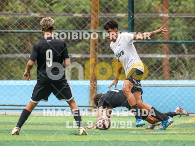Detalhes da foto #1539674