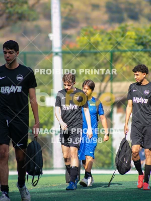 Detalhes da foto #8175963
