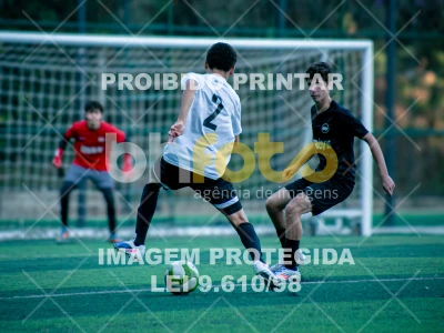 Detalhes da foto #3379198