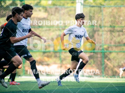 Detalhes da foto #4253204