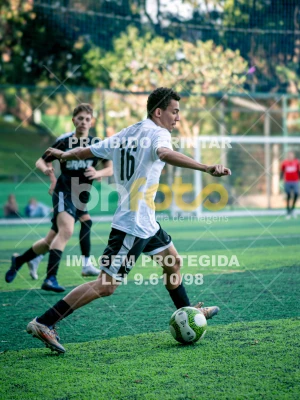 Detalhes da foto #3526210
