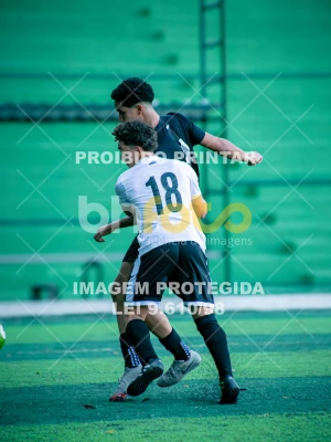 Detalhes da foto #3553816